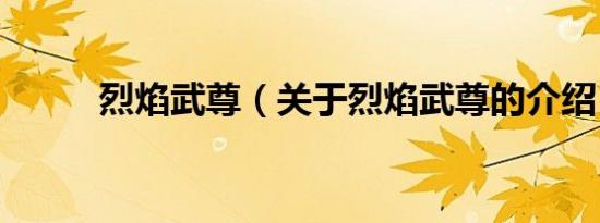 烈焰武尊（关于烈焰武尊的介绍）