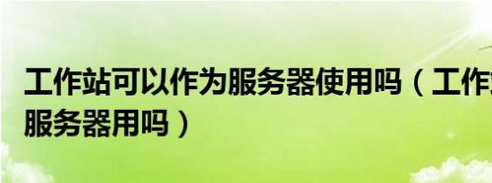 工作站可以作为服务器使用吗（工作站可以当服务器用吗）