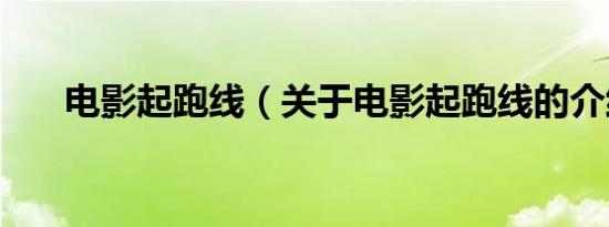 电影起跑线（关于电影起跑线的介绍）