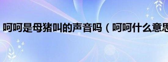 呵呵是母猪叫的声音吗（呵呵什么意思母猪）