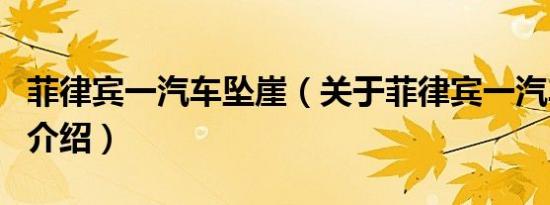 菲律宾一汽车坠崖（关于菲律宾一汽车坠崖的介绍）