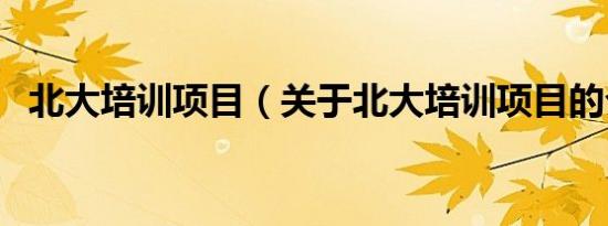 北大培训项目（关于北大培训项目的介绍）