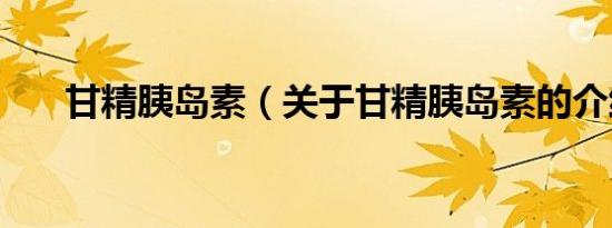 甘精胰岛素（关于甘精胰岛素的介绍）