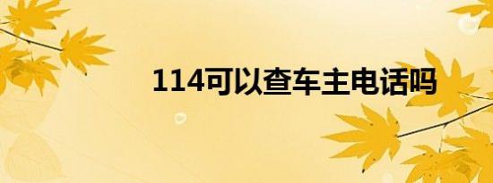 114可以查车主电话吗