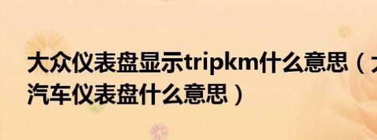 大众仪表盘显示tripkm什么意思（大众trip汽车仪表盘什么意思）