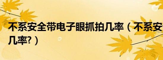 不系安全带电子眼抓拍几率（不系安全带被拍几率?）