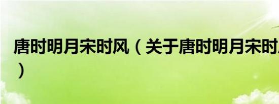 唐时明月宋时风（关于唐时明月宋时风的介绍）