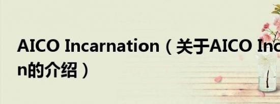AICO Incarnation（关于AICO Incarnation的介绍）