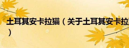 土耳其安卡拉猫（关于土耳其安卡拉猫的介绍）