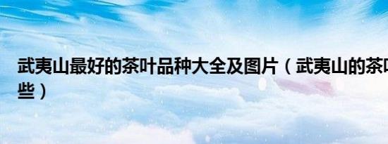 武夷山最好的茶叶品种大全及图片（武夷山的茶叶品种有哪些）