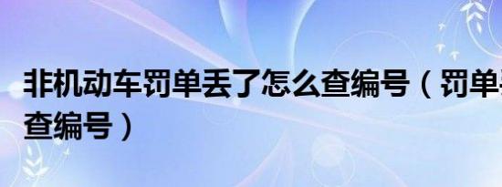 非机动车罚单丢了怎么查编号（罚单丢了怎么查编号）