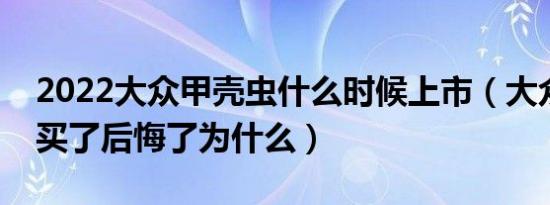 2022大众甲壳虫什么时候上市（大众甲壳虫买了后悔了为什么）