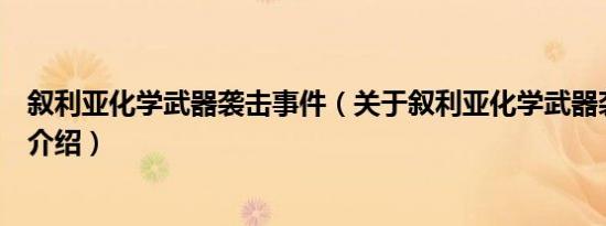 叙利亚化学武器袭击事件（关于叙利亚化学武器袭击事件的介绍）