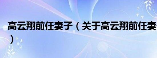 高云翔前任妻子（关于高云翔前任妻子的介绍）