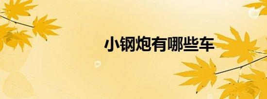 小钢炮有哪些车