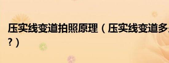 压实线变道拍照原理（压实线变道多少米拍照?）