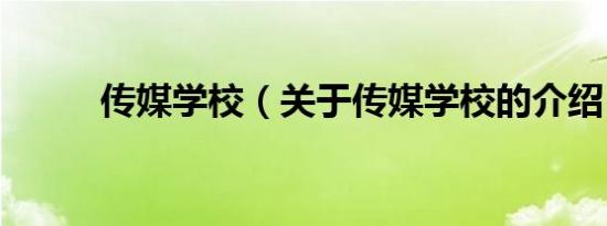 传媒学校（关于传媒学校的介绍）