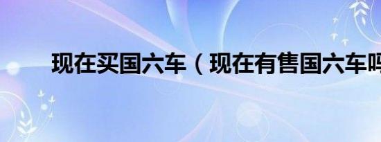 现在买国六车（现在有售国六车吗）