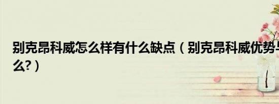 别克昂科威怎么样有什么缺点（别克昂科威优势与缺点是什么?）