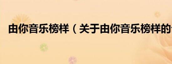 由你音乐榜样（关于由你音乐榜样的介绍）