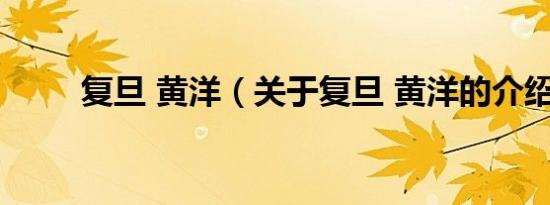 复旦 黄洋（关于复旦 黄洋的介绍）