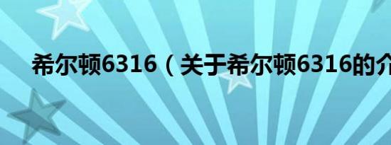 希尔顿6316（关于希尔顿6316的介绍）