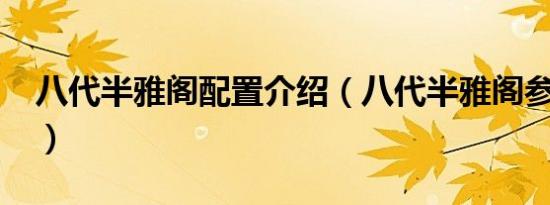 八代半雅阁配置介绍（八代半雅阁参数配置?）