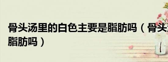 骨头汤里的白色主要是脂肪吗（骨头汤白色是脂肪吗）