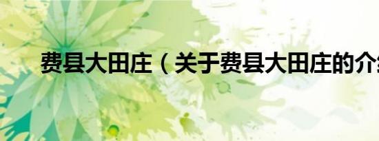 费县大田庄（关于费县大田庄的介绍）