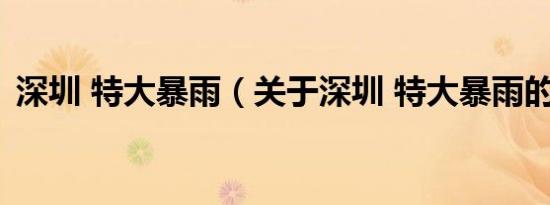 深圳 特大暴雨（关于深圳 特大暴雨的介绍）
