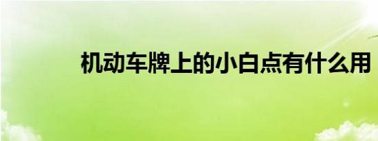 机动车牌上的小白点有什么用