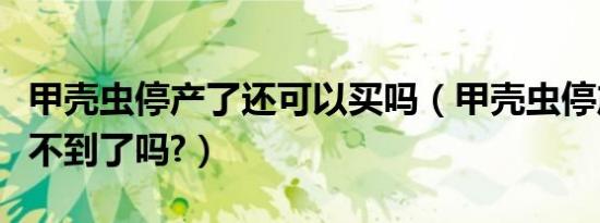 甲壳虫停产了还可以买吗（甲壳虫停产了就买不到了吗?）