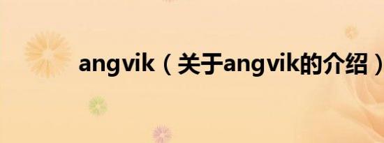 angvik（关于angvik的介绍）