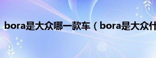 bora是大众哪一款车（bora是大众什么车）