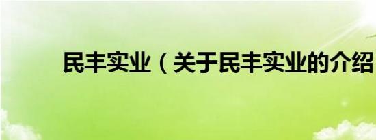 民丰实业（关于民丰实业的介绍）