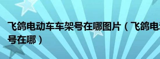 飞鸽电动车车架号在哪图片（飞鸽电动车车架号在哪）