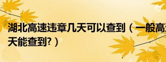 湖北高速违章几天可以查到（一般高速违章几天能查到?）
