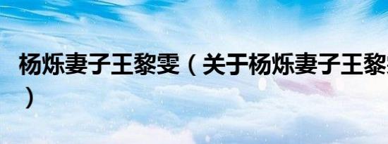 杨烁妻子王黎雯（关于杨烁妻子王黎雯的介绍）