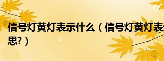 信号灯黄灯表示什么（信号灯黄灯表示什么意思?）