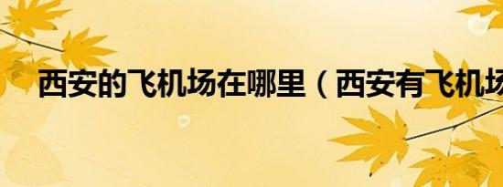 西安的飞机场在哪里（西安有飞机场吗）