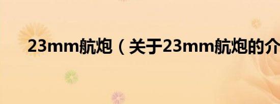23mm航炮（关于23mm航炮的介绍）