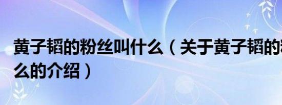 黄子韬的粉丝叫什么（关于黄子韬的粉丝叫什么的介绍）