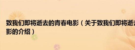 致我们即将逝去的青春电影（关于致我们即将逝去的青春电影的介绍）