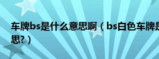 车牌bs是什么意思啊（bs白色车牌是什么意思?）