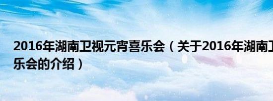 2016年湖南卫视元宵喜乐会（关于2016年湖南卫视元宵喜乐会的介绍）