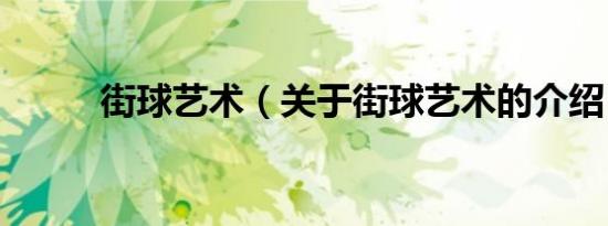 街球艺术（关于街球艺术的介绍）