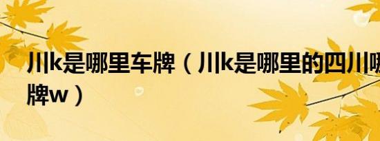 川k是哪里车牌（川k是哪里的四川哪里的车牌w）