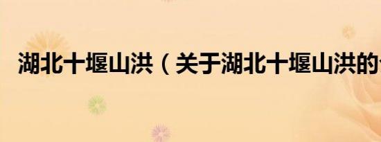 湖北十堰山洪（关于湖北十堰山洪的介绍）