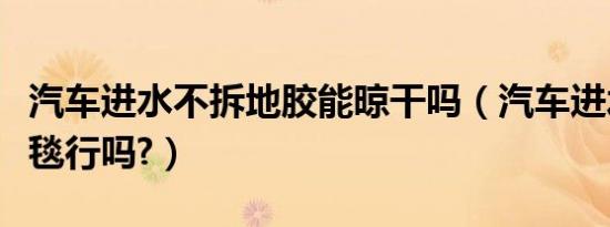 汽车进水不拆地胶能晾干吗（汽车进水不拆地毯行吗?）
