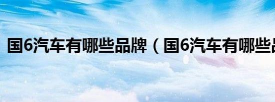 国6汽车有哪些品牌（国6汽车有哪些品牌?）